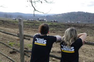 Billis - Il nostro allevamento in Maremma