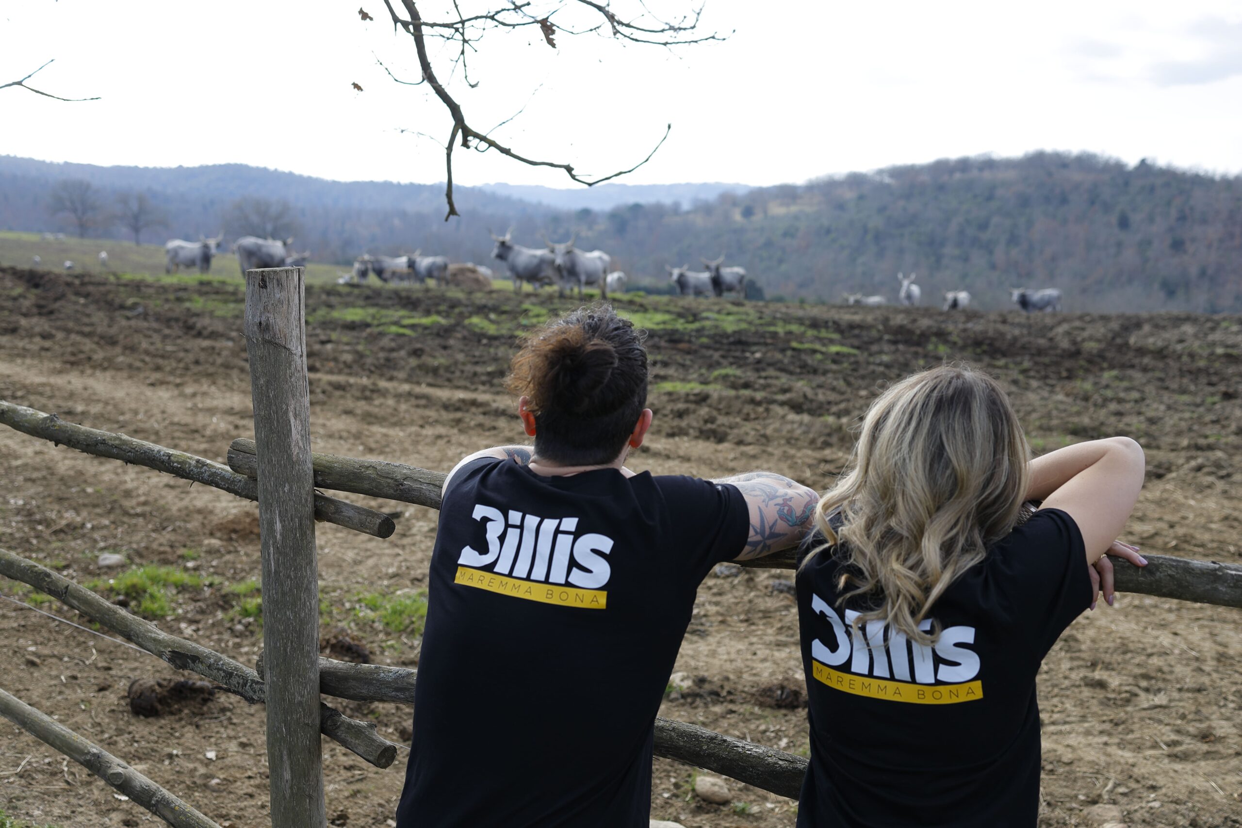 Billis - Il nostro allevamento in Maremma